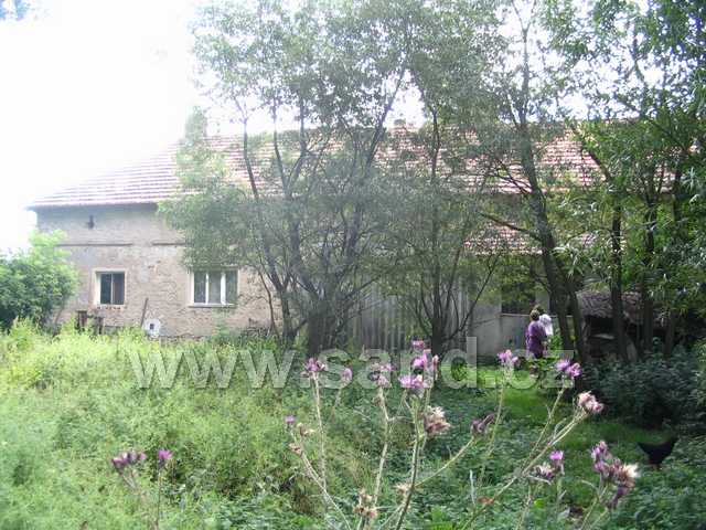 Image00050