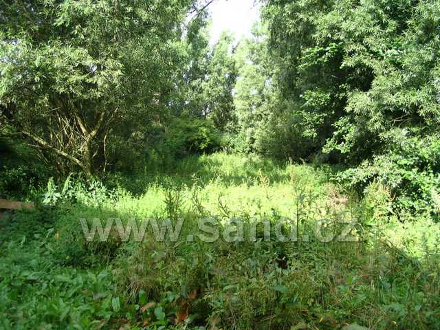 Image00052