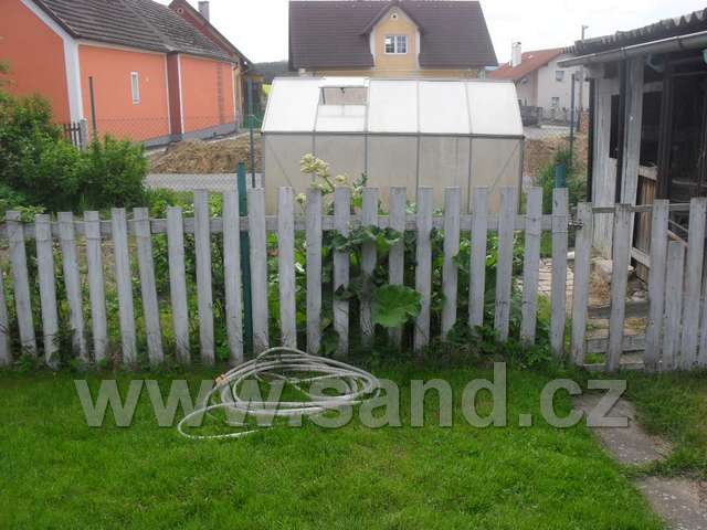 SDC10569