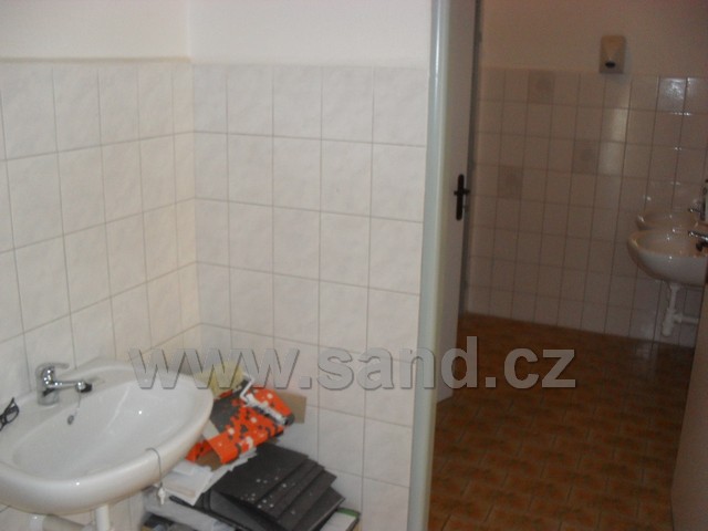 SDC13317