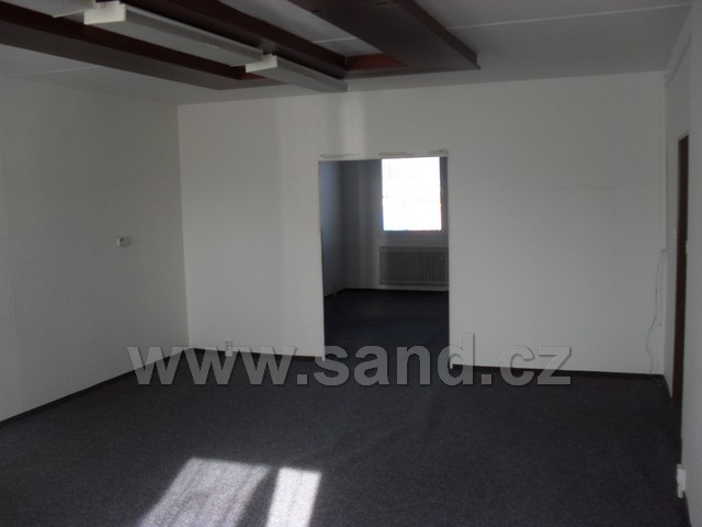 SDC13334