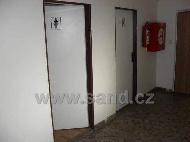 SDC13354