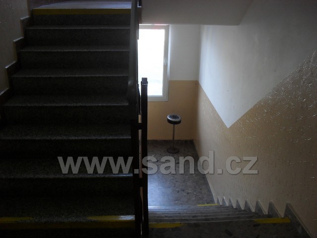 SDC13362