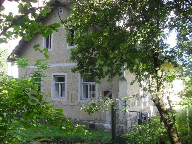 SDC14296