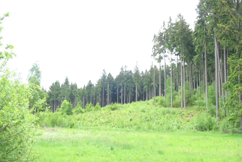 Vojtěšín 008