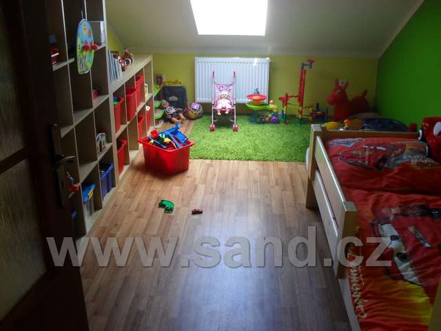 ahl SDC10656