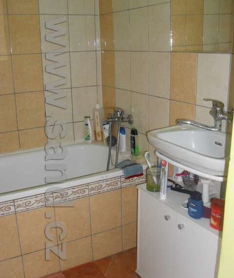 ahl SDC11037