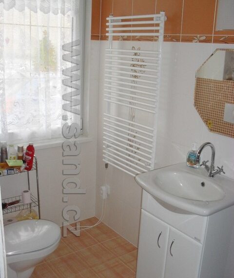 ahl SDC12856