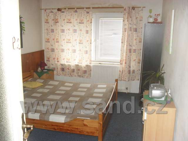 hl SDC11519