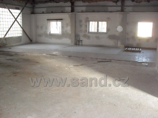 hl SDC13297
