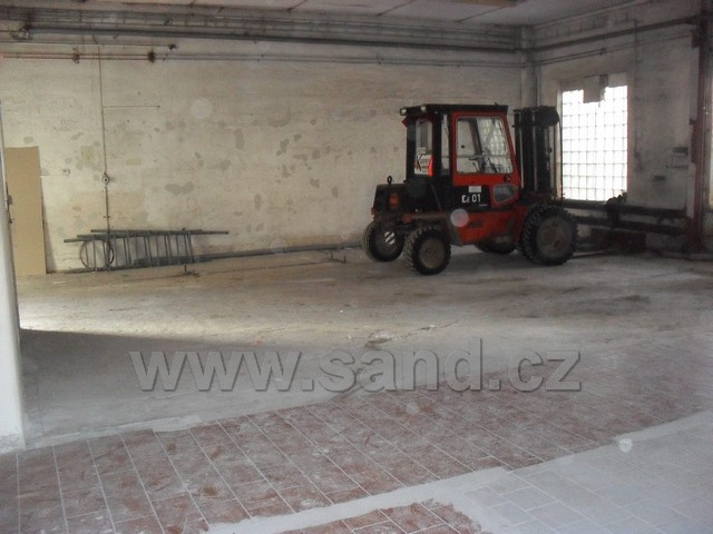 hl SDC13299