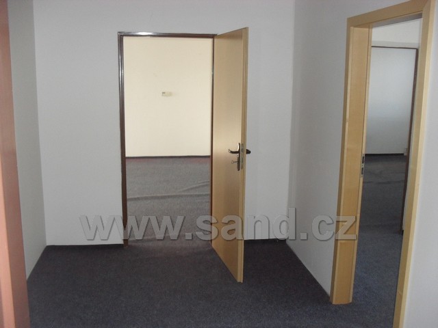 hl SDC13337
