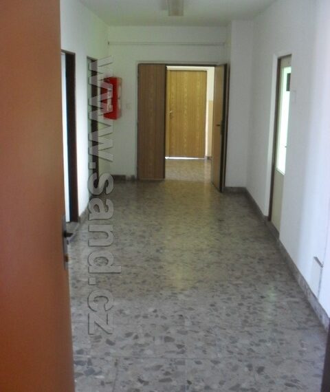 hl SDC13340