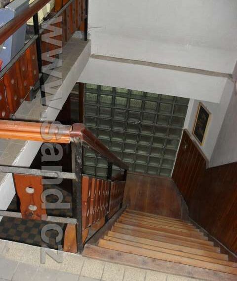 hl SDC17538