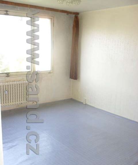 hl SDC18573