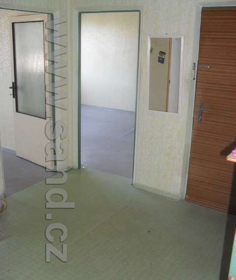 hl SDC18576