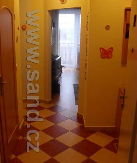 hl SDC18795