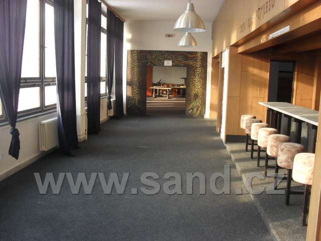 hl SDC19631