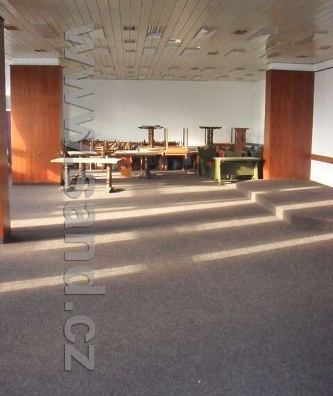 hl SDC19633