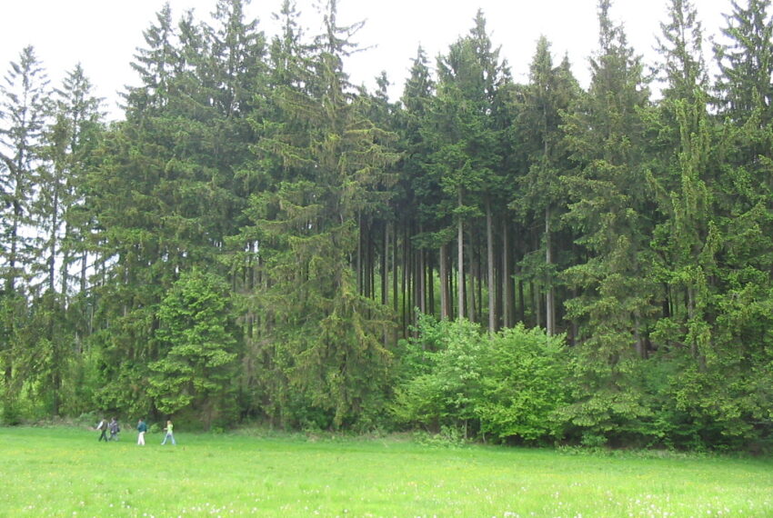 hl. lukoviště 004