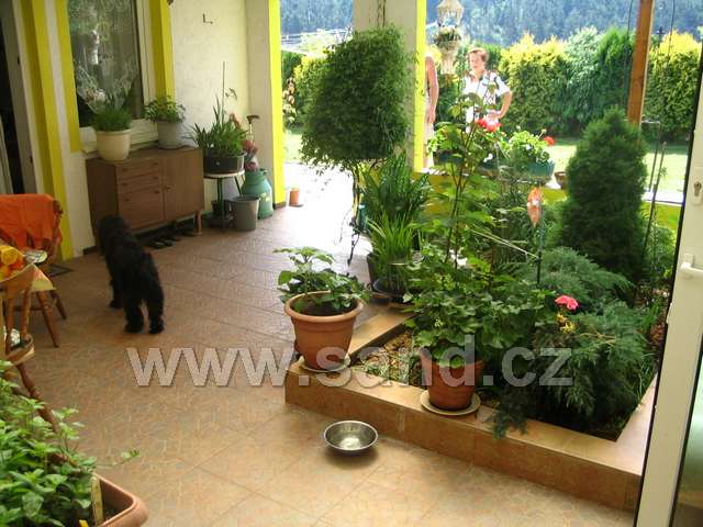 stichov 015