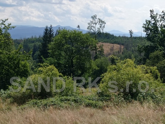 2hl IMG_20220726_123209