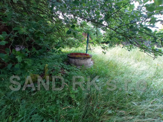 IMG_20220628_112349
