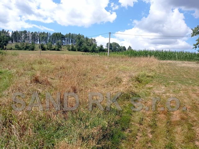 IMG_20220726_123901
