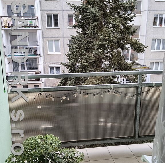 IMG_20250226_151909772_HDR