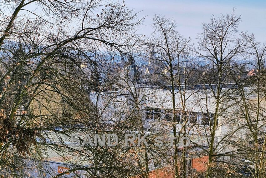 IMG_20260303_090945503_HDR_AE